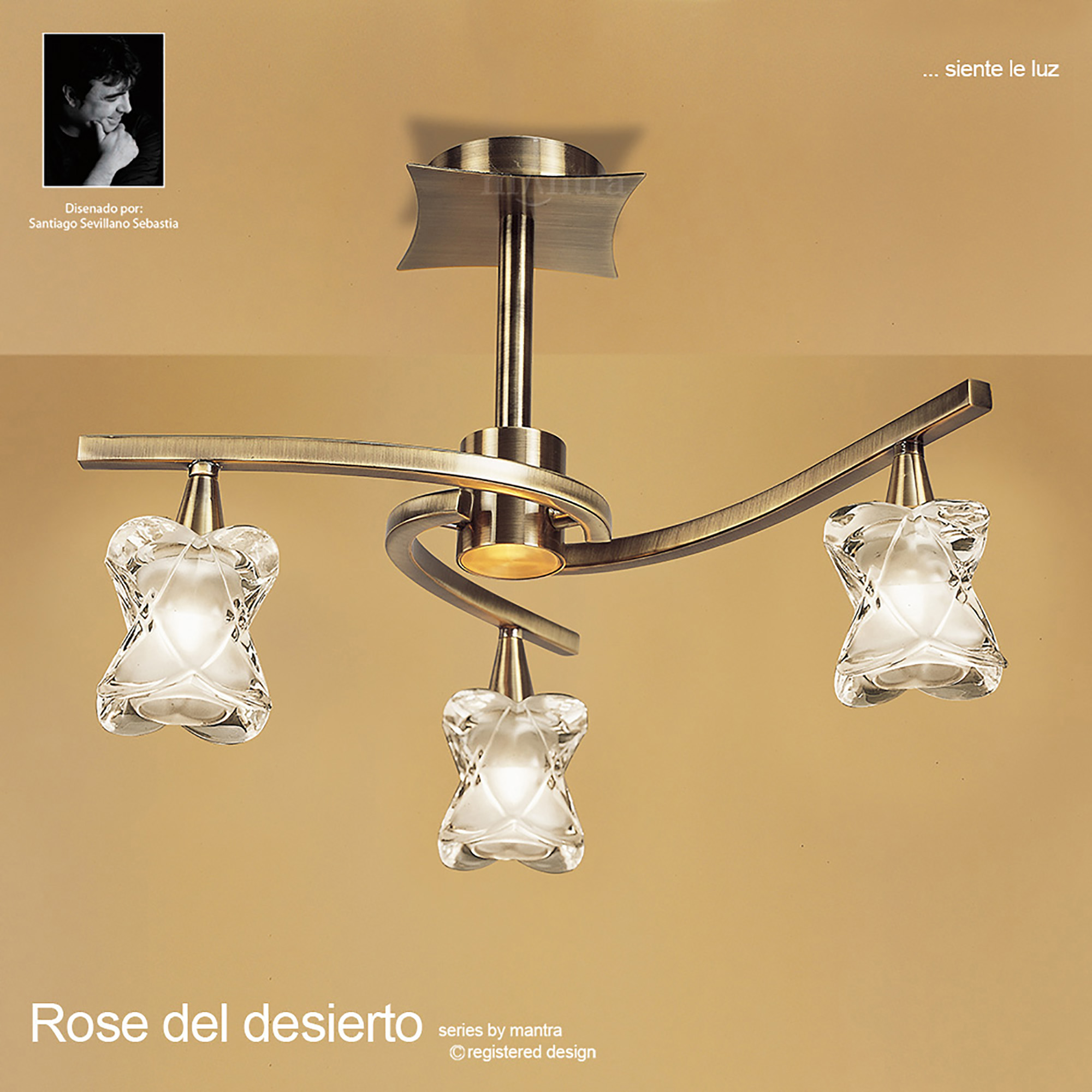 Rosa AB Ceiling Lights Mantra Contemporary Ceiling Lights Rosa AB Ceiling Lights Mantra Contemporary Ceiling Lights